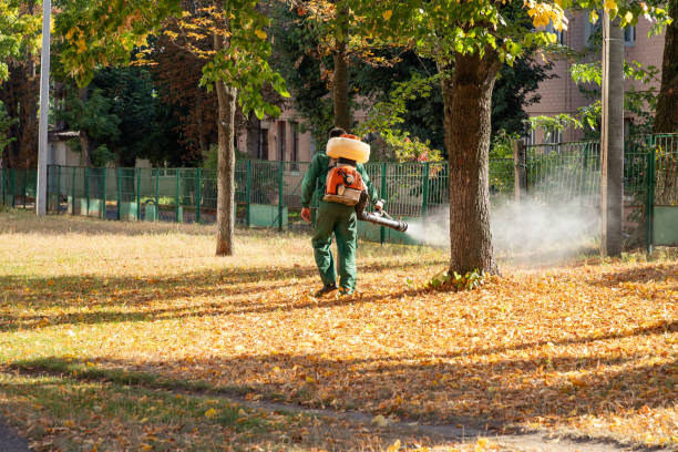 Best Pest Removal Services  in Lake Wynonah, PA