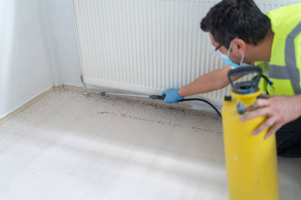 Best Termite Control Services  in Lake Wynonah, PA